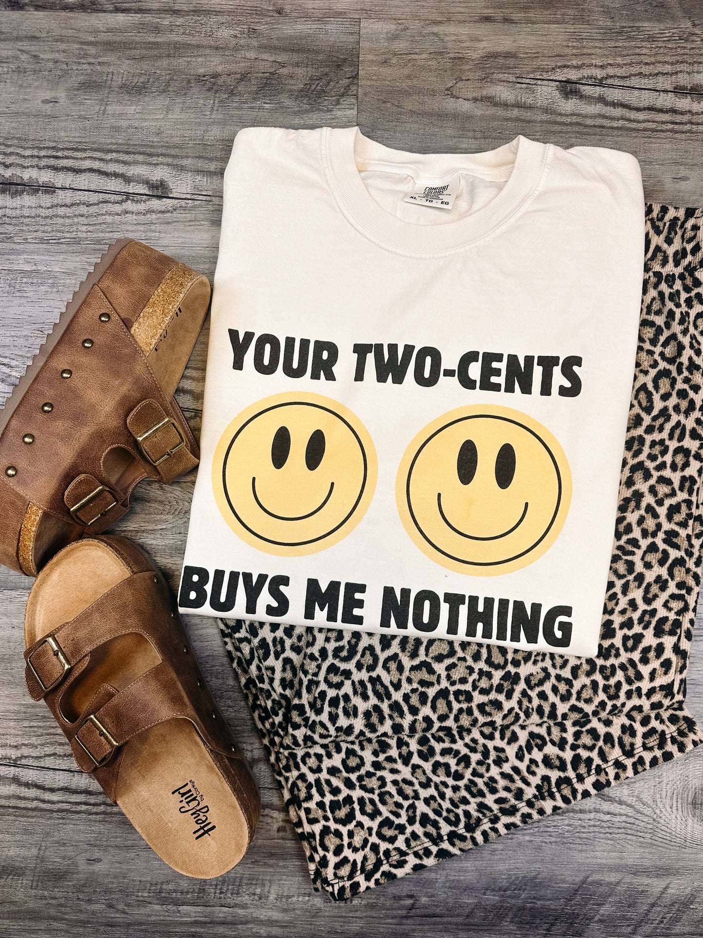 Your Two Cents | Comfort Colors Tshirt