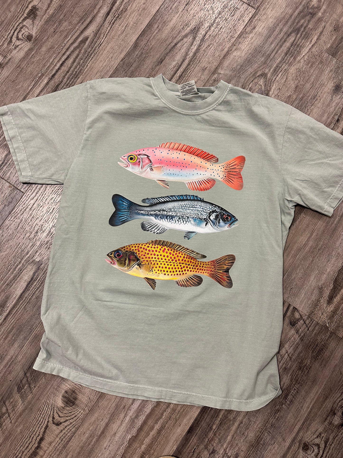 Colorful Fish | Comfort Colors Tshirt