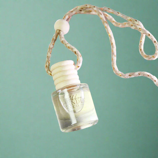 Hanging Car Diffuser - Summer Scents