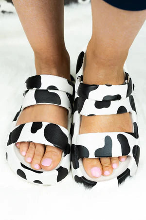 Cow Buckle Sandal Boutique 276